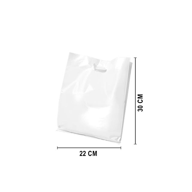 Sacola Plástico Alça Vazada PP (Sem Impressão) 22x30 cm