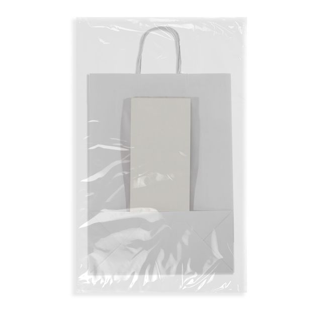 PG-BRANCO-2 PG-BRANCO-2